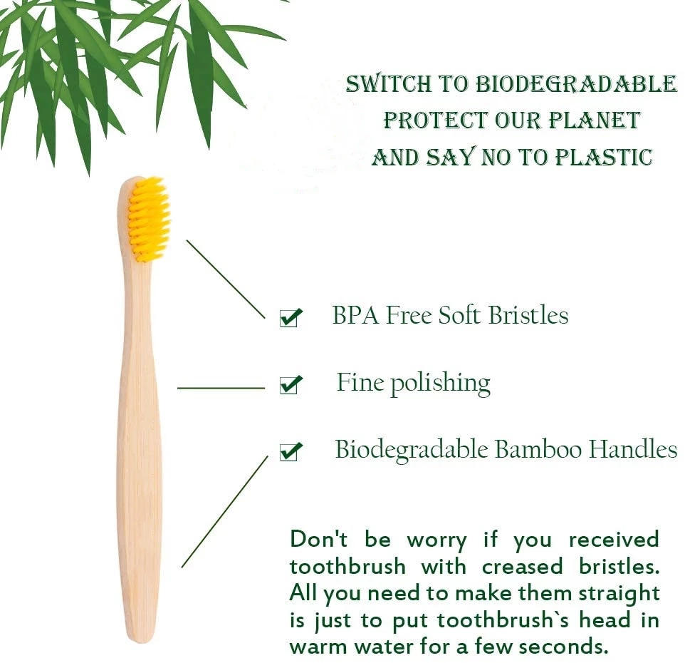 20Pcs Children's Colorful Toot - Bamboo Toothbrush Set review and price